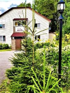 a plant in front of a building with a street light at Otel Gostevoy Domik in Luga