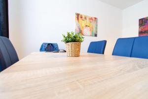 Fotografie z fotogalerie ubytování Apartment Puchsbaumgasse ve Vídni