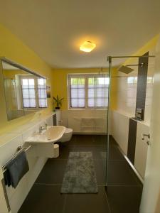 a bathroom with a sink and a glass shower at Ferienwohnung Storchennest - Erholung für Naturliebhaber in Auhagen