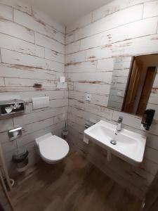 uma casa de banho com um WC branco e um lavatório. em Penzion u Hradilů em Vrbno pod Pradedem