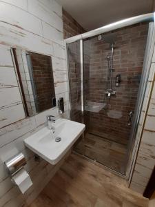La salle de bains est pourvue d'un lavabo et d'une douche. dans l'établissement Penzion u Hradilů, à Vrbno pod Pradědem