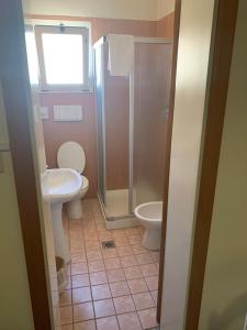 La salle de bains est pourvue de toilettes, d'une douche et d'un lavabo. dans l'établissement Hotel Piada D'Oro, à Riccione
