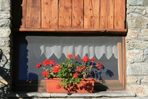 Fotografie z fotogalerie ubytování B&B Lo Tatà v destinaci Fenis