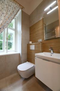 łazienka z toaletą, umywalką i oknem w obiekcie Apartmány Karina w Jańskich Łaźniach
