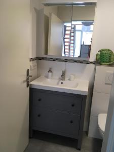 y baño con lavabo y espejo. en Moderne Wohnung mit Studio in Bauernhausscheune am See en Biersdorf