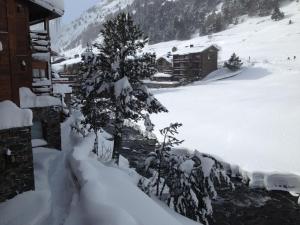 a tree covered in snow next to a building at MAIANS - Peu del Riu 122 - Vall d'Incles - Soldeu in Incles