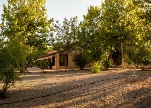 Vonkajšia záhrada v ubytovaní La Finca de Tomás - 5 Estrellas - Fútbol 7, Piscina Cubierta & Pádel