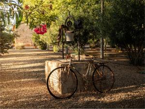 Jazda na bicykli v okolí ubytovania La Finca de Tomás - 5 Estrellas - Fútbol 7, Piscina Cubierta & Pádel