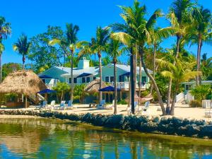 una casa en una playa con palmeras y agua en Coconut Palm Inn, en Cayo Largo