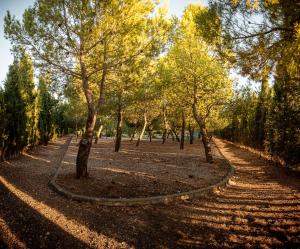 Vonkajšia záhrada v ubytovaní La Finca de Tomás - 5 Estrellas - Fútbol 7, Piscina Cubierta & Pádel