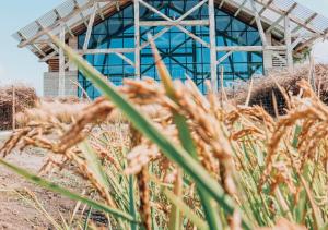 孔波尔塔Quinta Da Comporta - Wellness Boutique Resort的相册照片 更多67张照片