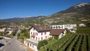 Afbeelding uit fotogalerij van Hôtel Art le Vin - Rhône in Salgesch