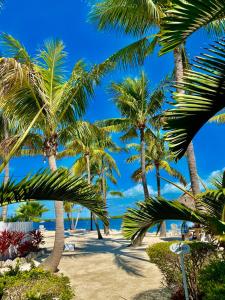 a beach with palm trees and palm trees at Coconut Palm Inn in Key Largo