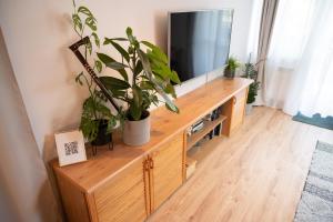 a wooden entertainment center with a tv and plants on it at Rzut beretem in Zakopane