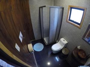 a bathroom with a white toilet and a shower at Chili Kiwi Lakefront Backpackers in Pucón