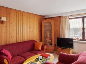 ハーネンクレー・ボックスヴィーゼにあるModern Apartment in Hahnenklee near Skiing Slopesのリビングルーム(赤いソファ、テレビ付)