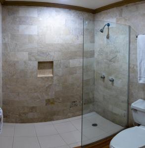 y baño con ducha de cristal y aseo. en Hotel San Martin, en Hermosillo