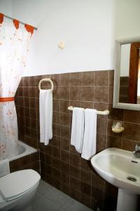 a bathroom with a toilet and a sink and a mirror at Hostal Asturias in Jarilla