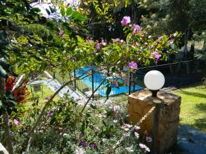 a garden with pink flowers and a fence at Coachman Motel in Toowoomba