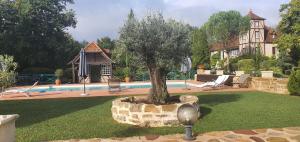 a house with a pool and a tree in a yard at Moulin du soustre in Cavagnac