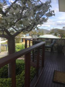 a wooden deck with a tree and a bench at Wheel House Studio in Bicheno