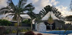 a villa with palm trees and a swimming pool at Tibambari in Bouchon