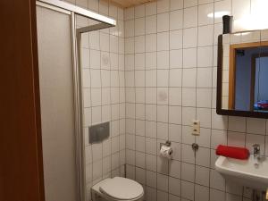 a bathroom with a toilet and a sink at Birkenhof in Leitlitz