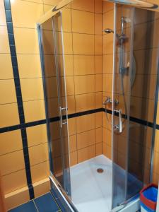 um chuveiro com uma porta de vidro na casa de banho em Sunny apartment Kėdainiai em Kėdainiai