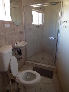a bathroom with a shower and a toilet and a sink at Ribaneng Lodge in Ribaneng