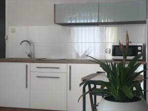 a kitchen with white cabinets and a potted plant at Łapacz Snów II in Tylicz