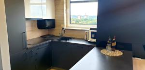 Kuchyňa alebo kuchynka v ubytovaní Luksusowy apartament z tarasem