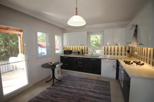 Kuchyň nebo kuchyňský kout v ubytování Dalyan Villa Pervin