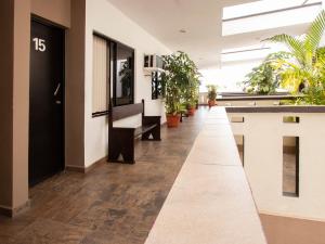 Fotografie z fotogalerie ubytování Invernadero Inn v destinaci Veracruz