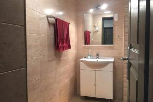 een badkamer met een wastafel en een spiegel bij Green garden apartment in Szeged