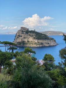 Gambar di galeri bagi Vittoria Colonna Luxury B&B di Ischia