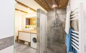 ein Bad mit einer Dusche und einer Waschmaschine in der Unterkunft Ferienwohnung Grundlsee, Willkommen in MaMi's Ferienwohnung in Grundlsee