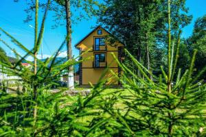 波利亞納的住宿－Apartments in Polyana，森林中间的黄色房子