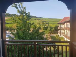 a view from the balcony of a house with a tree at Le Petit Nid in Bergheim