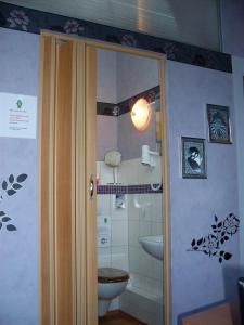 ein Bad mit einem WC und einem Waschbecken in der Unterkunft Pension Liebert in Weißenfels