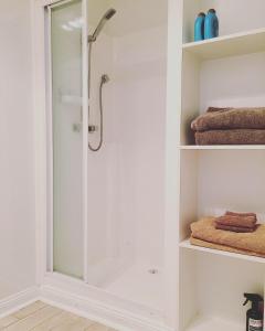 a shower with a glass door in a bathroom at Strahan Wilderness Lodge in Strahan