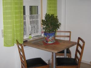 a dining room table with a potted plant on it at Ferienwohnung Hainbuche Lübben im Spreewald in Lübben