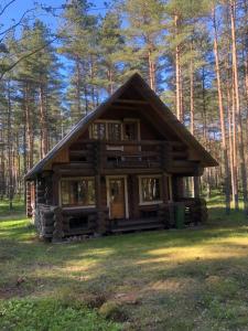 una baita di tronchi in mezzo a una foresta di Meelste puhkemajad Tahkunas- Sõnn ja Lõvi a Tahkuna