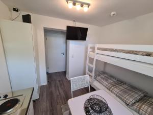 a small room with a bunk bed and a table at Appartement Am Süllberg in Munster im Heidekreis