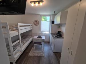 a small room with bunk beds and a kitchen at Appartement Am Süllberg in Munster im Heidekreis