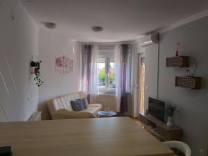 Televízia a/alebo spoločenská miestnosť v ubytovaní Apartman Jelacic Vinkovci
