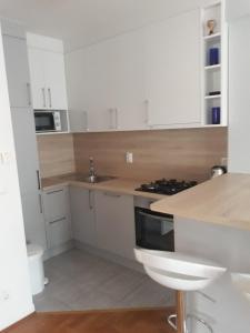 Kuchyňa alebo kuchynka v ubytovaní Apartman Jelacic Vinkovci