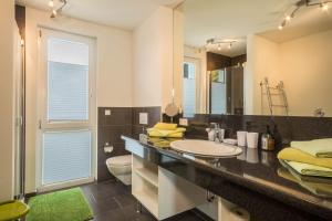 a bathroom with a sink and a toilet and a mirror at Ferienwohnung Rose in Sipplingen +21 photos