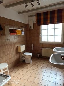 a bathroom with a toilet and a sink at Der Amboss in Wangerland