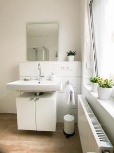 bagno bianco con lavandino e specchio di Dream Green Apartment 'Savannah' a Gladenbach