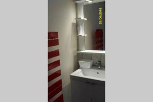 uma casa de banho com um lavatório e um espelho em GITE à LA FERME PRES VULCANIA-GR89 em La Goutelle